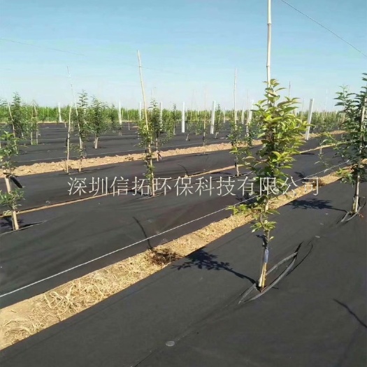 东莞市除草地膜