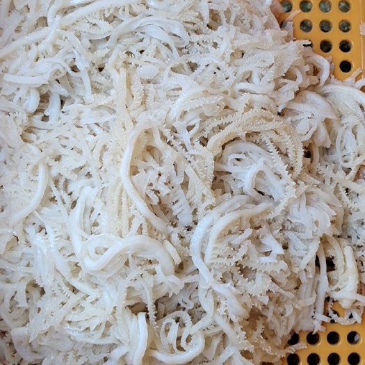 成都毛肚白千层肚牛百叶