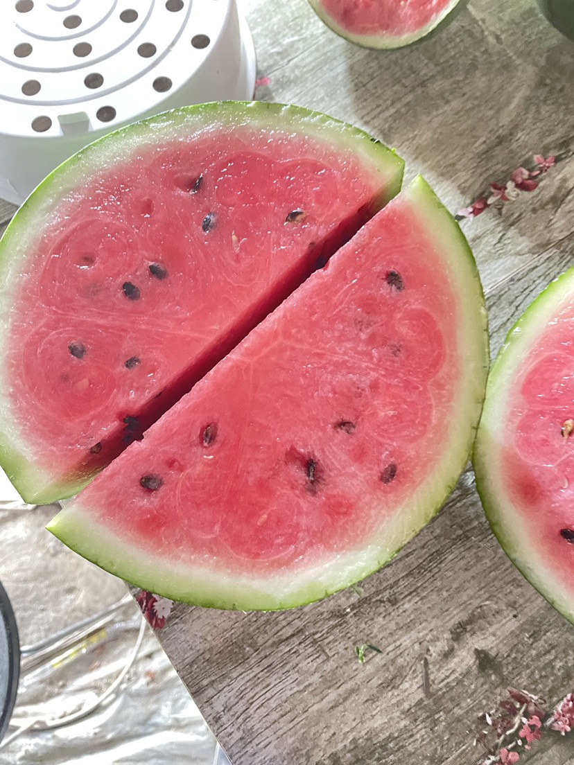 8424西瓜  美都品种