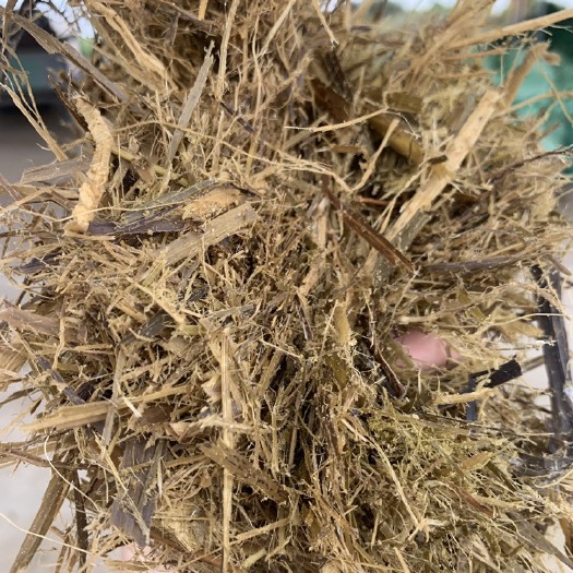 罗城县广西蔗尾青贮饲料 适用牛羊马 品质保障 环保养殖