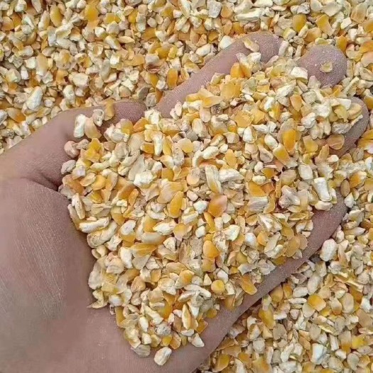 石家庄烘干碎玉米。