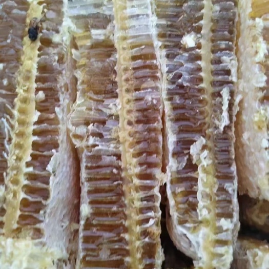 成都铁箱蜂巢蜜一件80斤
