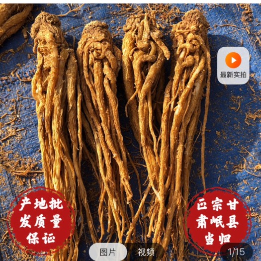 岷县当归 全归