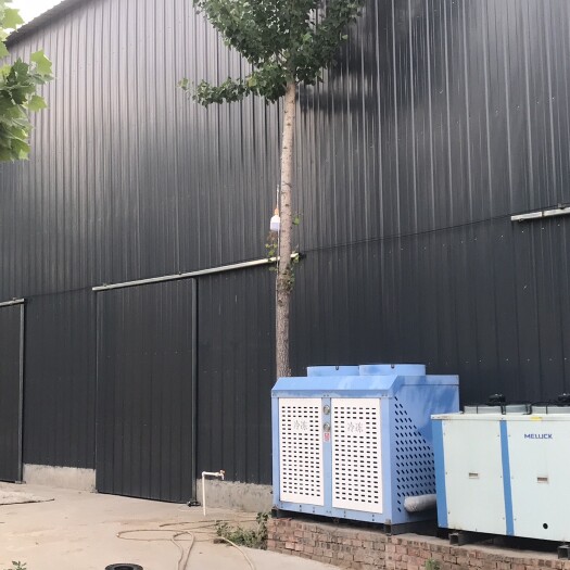 新乐市新乐冷库出租