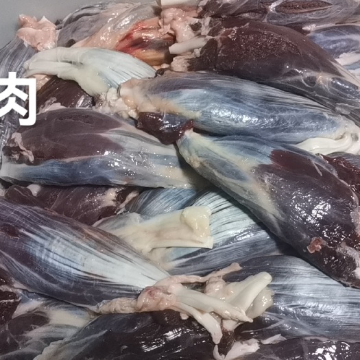 牛腱子肉  牦牛精修腱子