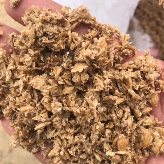 珠海新鲜啤酒糟