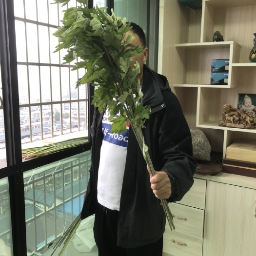 湘潭县端午节艾草