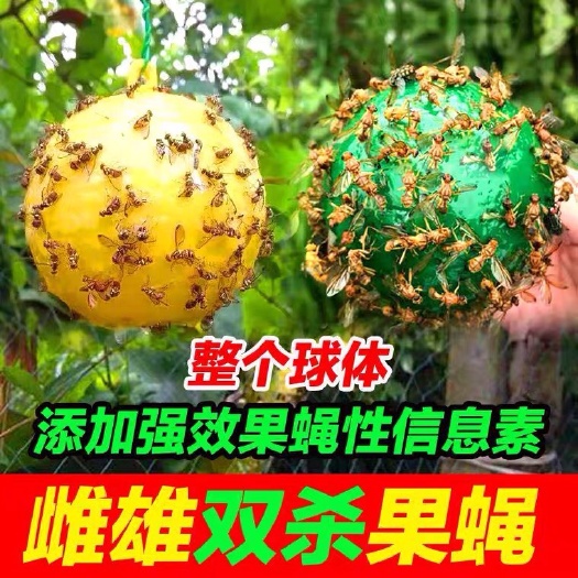 崇义县果园果树诱蝇球柑橘大果实蝇小实蝇诱捕器诱粘剂引诱剂小飞虫灭杀