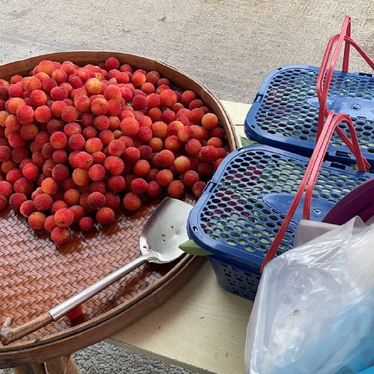 龙岩杨梅