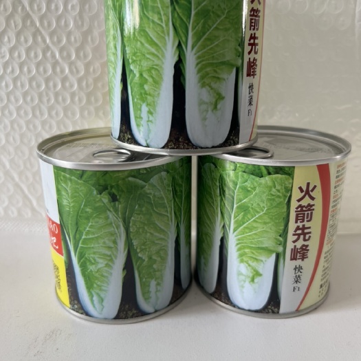 华容县火箭先锋一代杂交快菜种子早熟耐热耐湿抗病无茸毛小白菜种子
