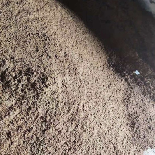巢湖啤酒渣