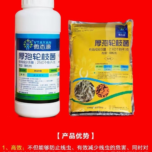 南京根结线虫克星