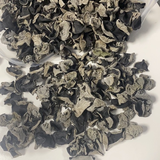 冬耳 泡发呈褐黄色，肉厚，口感软糯