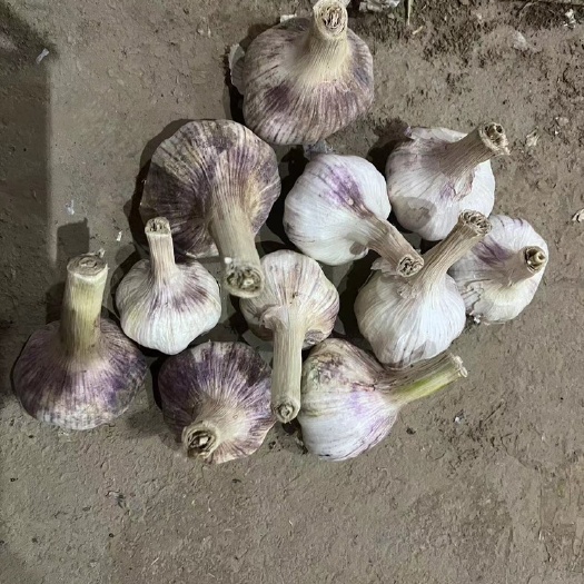 大蒜