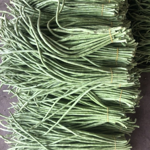 北海大量现货￼豆角上市