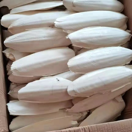 伊朗墨鱼骨海螵蛸