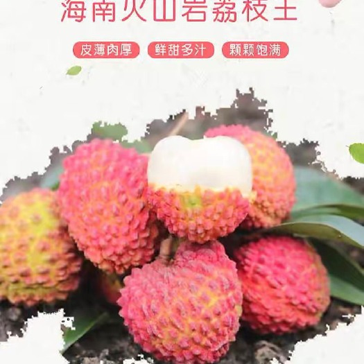 海口海南热带水果荔枝王