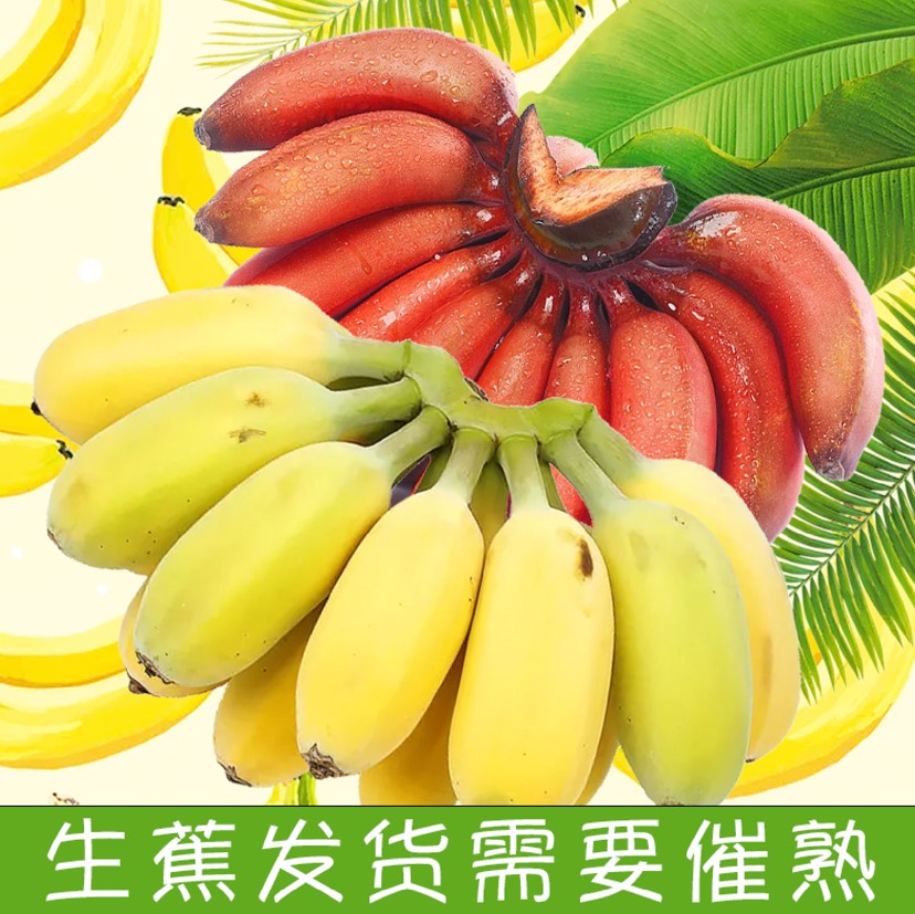南宁苹果蕉粉蕉红美人香蕉红蕉双拼混装水果整箱3斤5斤9斤包