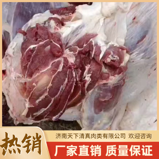 商河县羊腿肉 鲜羊肉 全羊剔骨 全国发货