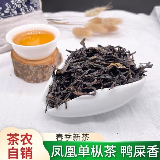 饶平县凤凰高山鸭屎香：春茶头采
