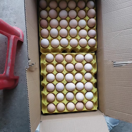 长丰县自家养殖基地。量有保证。 量大从优