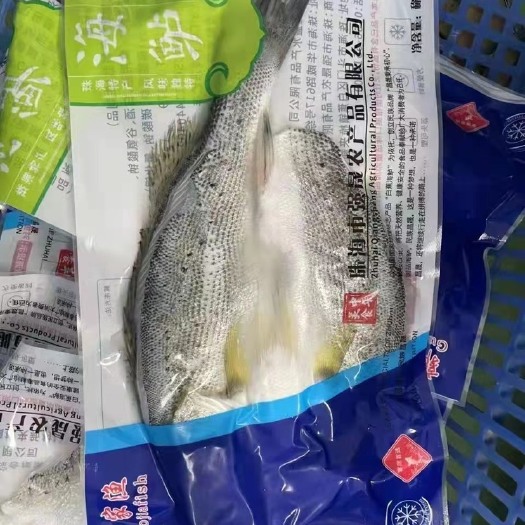 济南开背海鲈鱼整箱20斤9到20条规格
