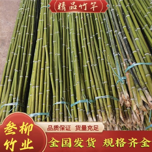 金秀县金秀精选场地直销黄金竹冬瓜竹竿、黄瓜竹竿、豆架竹竿、冬瓜竹竿