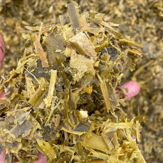 唐山优质黄储散装打包