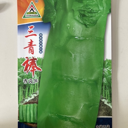 华容县三青棒香莴笋种子青皮青肉圆叶型丰产粗棒口感脆嫩耐寒20克秋冬