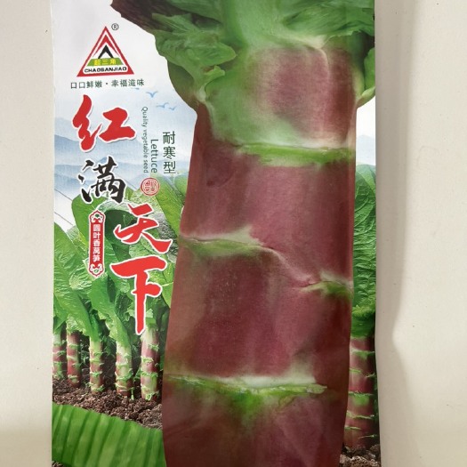 华容县超三角红满天下圆叶浓香莴笋种子耐寒性强抗病丰产适应广大田用种
