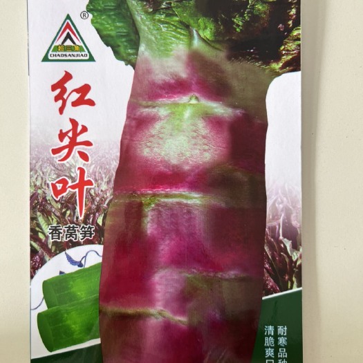 华容县红尖叶香莴笋种子耐寒清脆爽口品质佳秋冬种植10克包邮