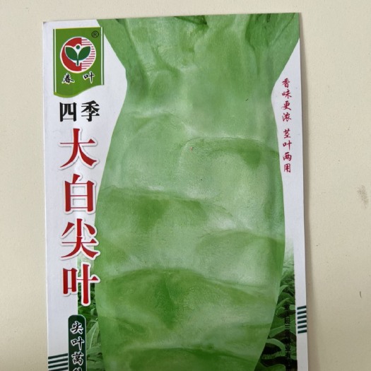 华容县四季大白尖叶莴笋种子耐高温笋香味浓抗性好商品性佳 5克包邮
