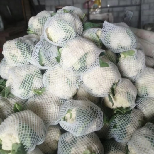 昌黎县河北昌黎有机花菜产地，质量好货源充足，长期供应各大市场，超市