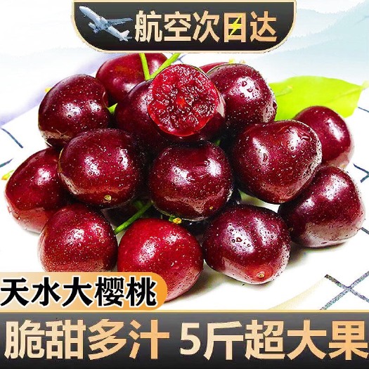 天水【精品】天水大樱桃孕妇新鲜水果包邮整箱当季国产车厘子5斤一箱
