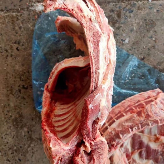 西安羊腰肌排