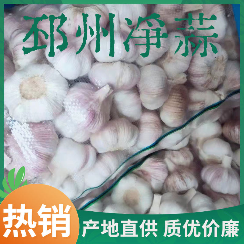 邳州市紫皮蒜 邳州大蒜
