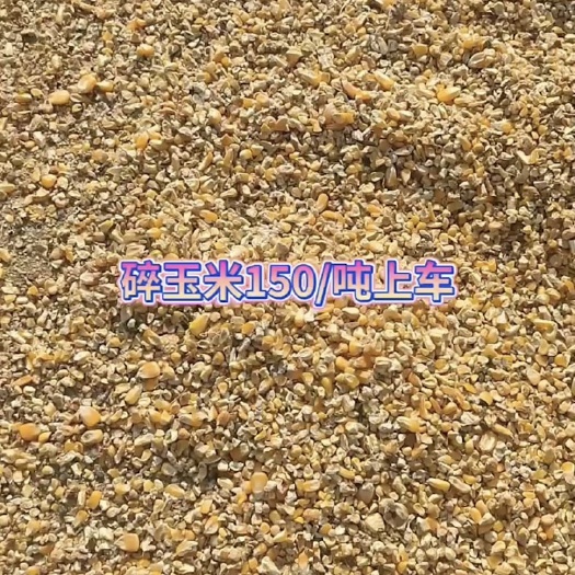 郓城县碎玉米