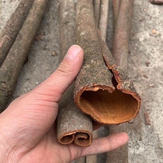 玉林广西玉林黑皮通选货水洗通
