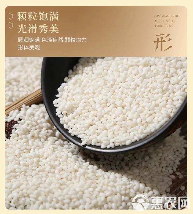 圆糯米新米包粽子酒酿江米食品加工原料现货充足糯米