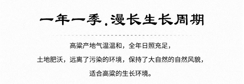 高粱紅高粱釀酒高粱釀醋大顆粒高粱食品酒廠飼料加工原料