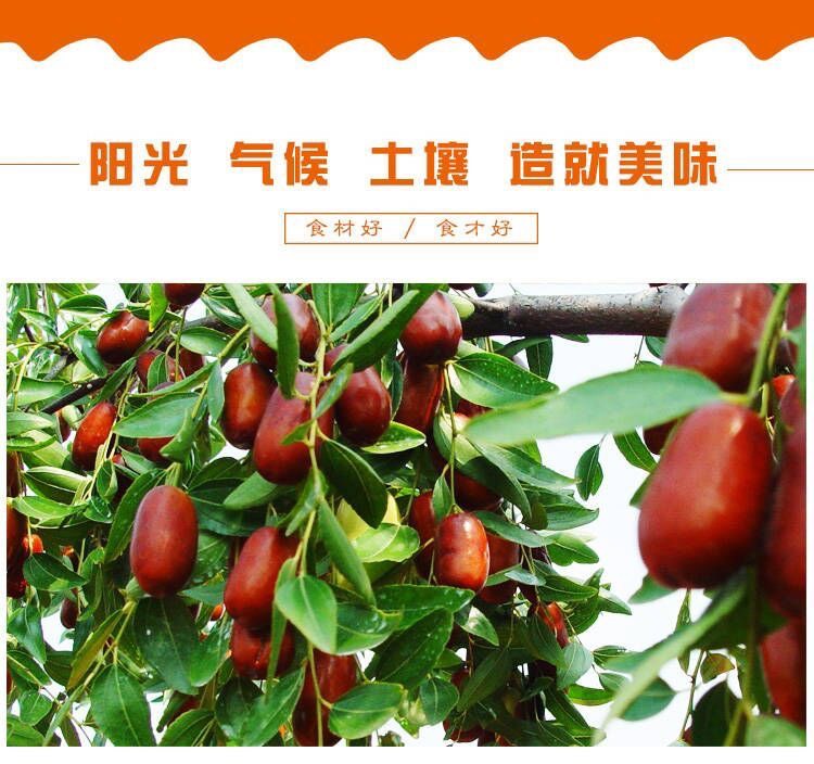 【新疆特產紅棗】泡茶煮粥煲湯無加工【全場包郵】