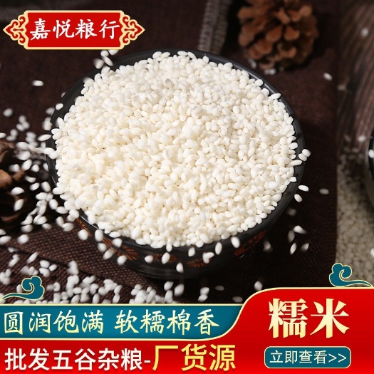临沂圆糯米新米包粽子酒酿江米食品加工原料现货充足糯米