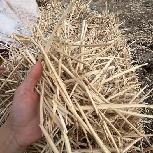正阳县小麦秸秆，玉米秸秆，柔丝套袋小方包，厂家直供