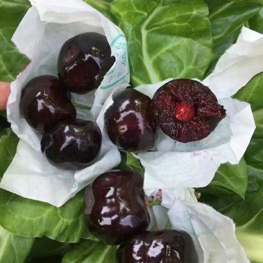 汉源县黑珍珠车厘子，产地直销，货源充足，品质保证。诚信代办