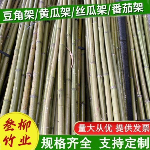 金秀县菜架竹黄金竹2.5米以上 2-3尾径