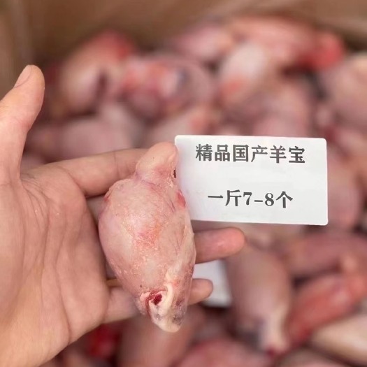 中牟县各种规格羊宝1两-1.5两-2两-3两-5两-7两 大小均匀