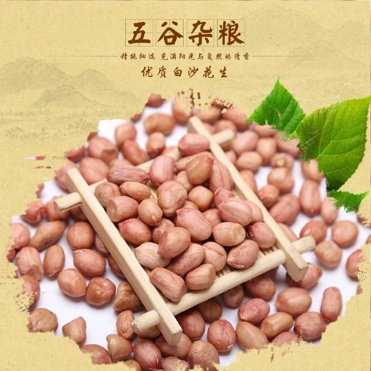 白沙花生米农家自产花生米榨油食品加工原料现货供应白沙花生