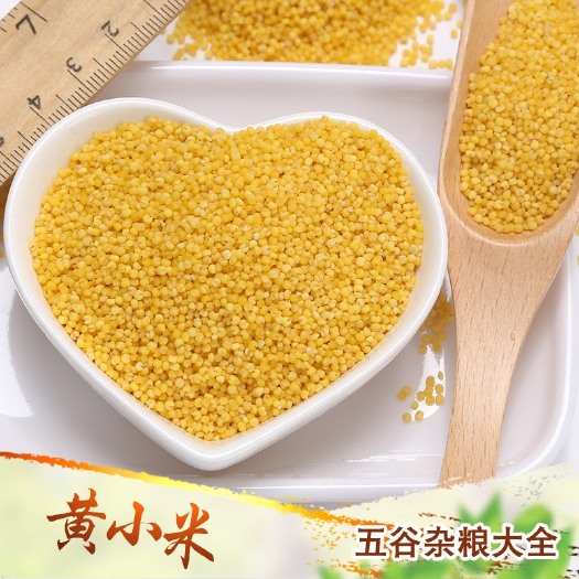 临沂黄小米月子米熬粥小黄米农家自产食用新小米现货供应