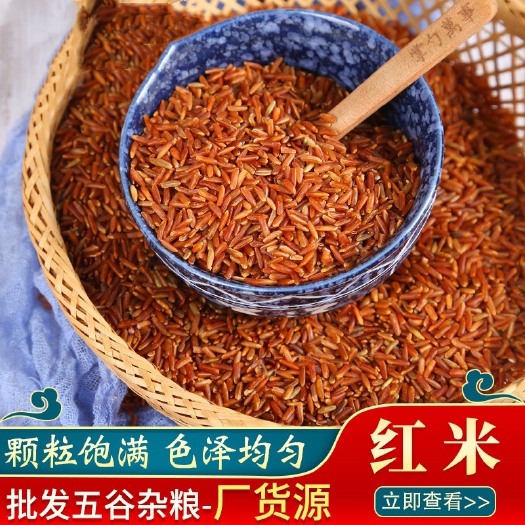 临沂红米批发长粒红米 圆粒红米红大米梗米现货供应五谷杂粮