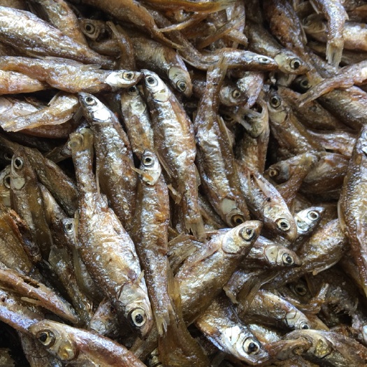 廉江市破肚，油炸白肖鱼、白条鱼